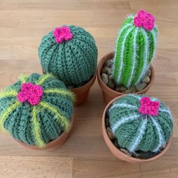 Handmade cactus and succulent