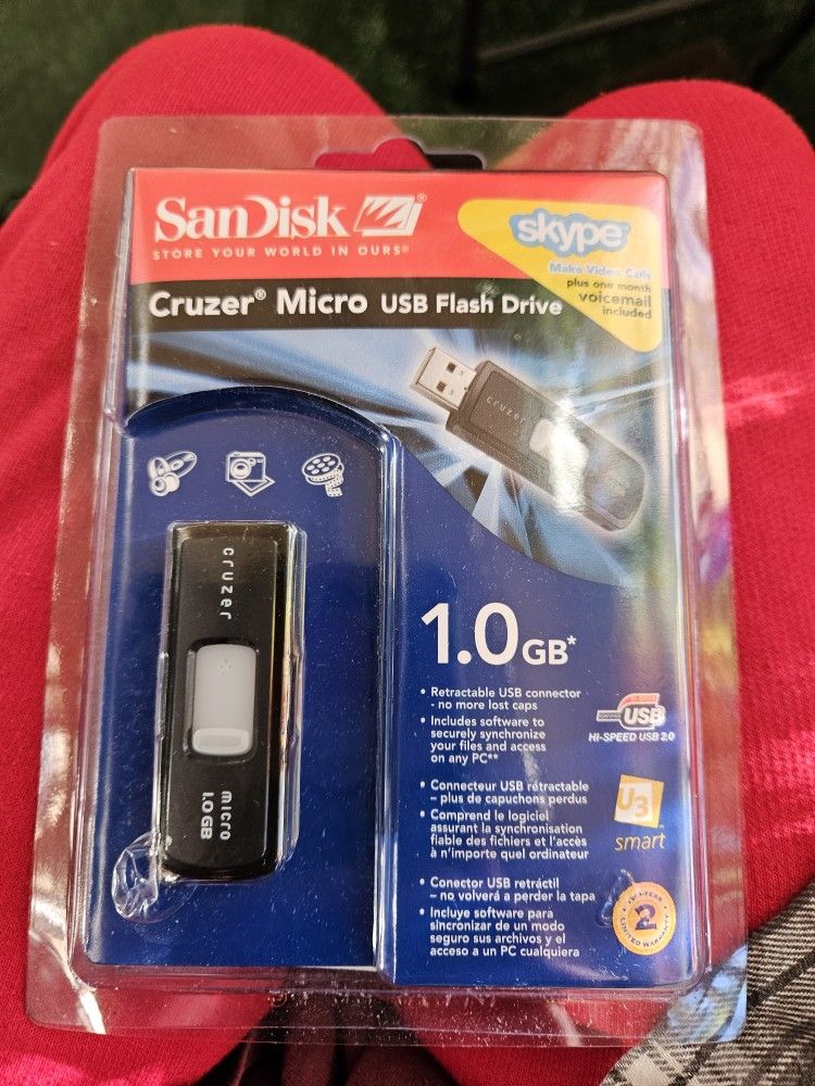 San Disk 1GB Flash Drive