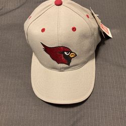 NFL Phoenix Cardinals Cap
