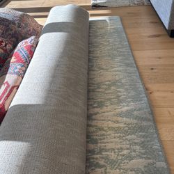 2 Nourison Area Rugs
