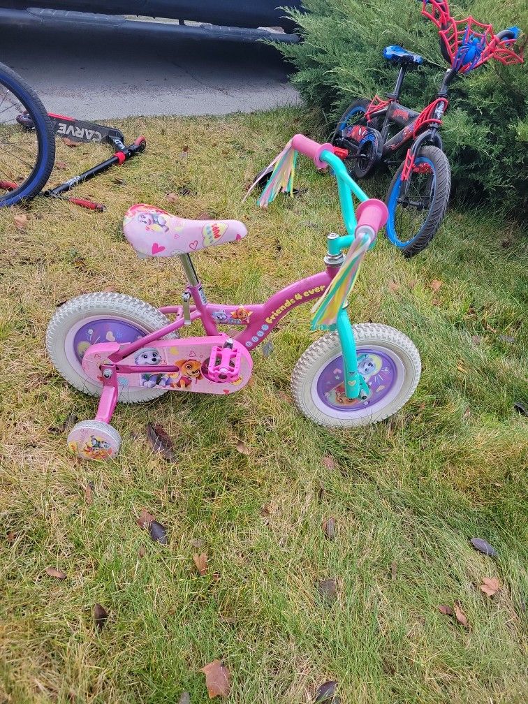16' Girls Paw Patrol With Training Wheels