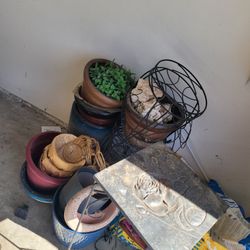 Plants, Pots, Stands