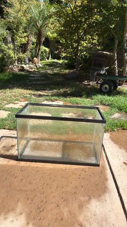 20 gallon aquarium