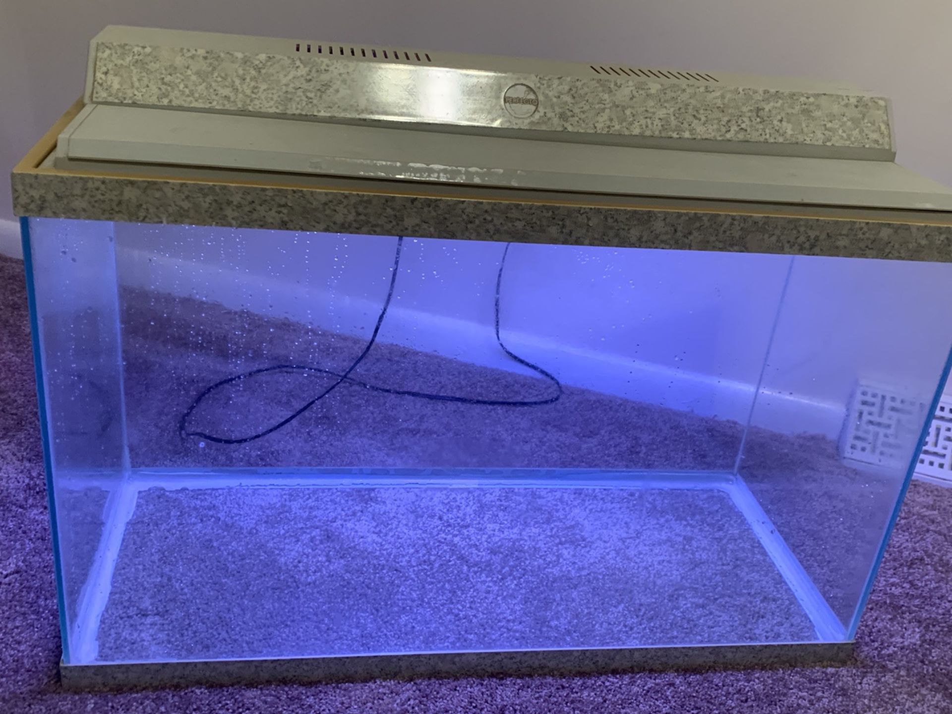 Fish Tank With Working Lamp