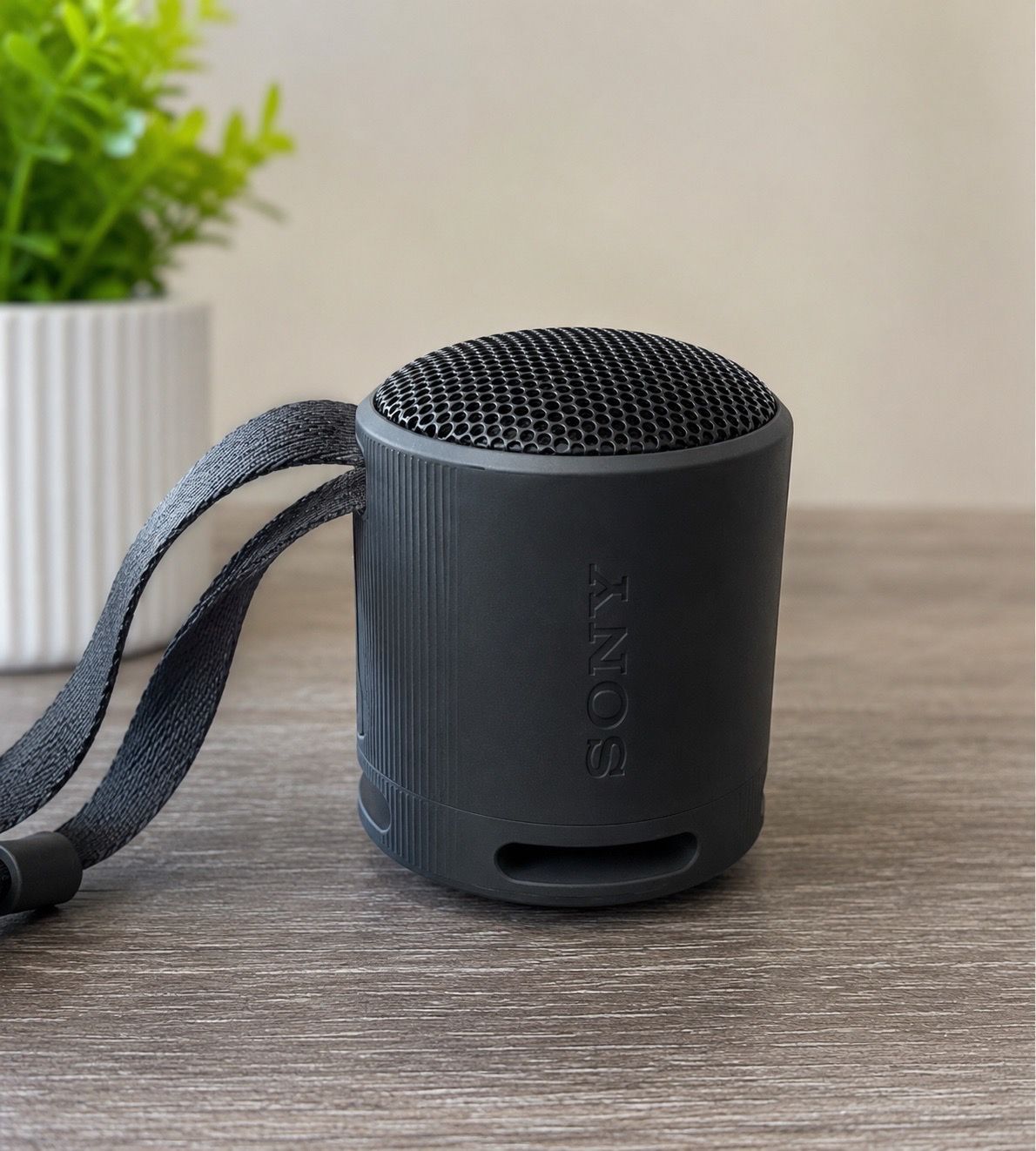 Sony Waterproof Speaker with Clip