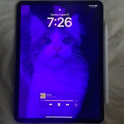 iPad Pro + iPad Pencil