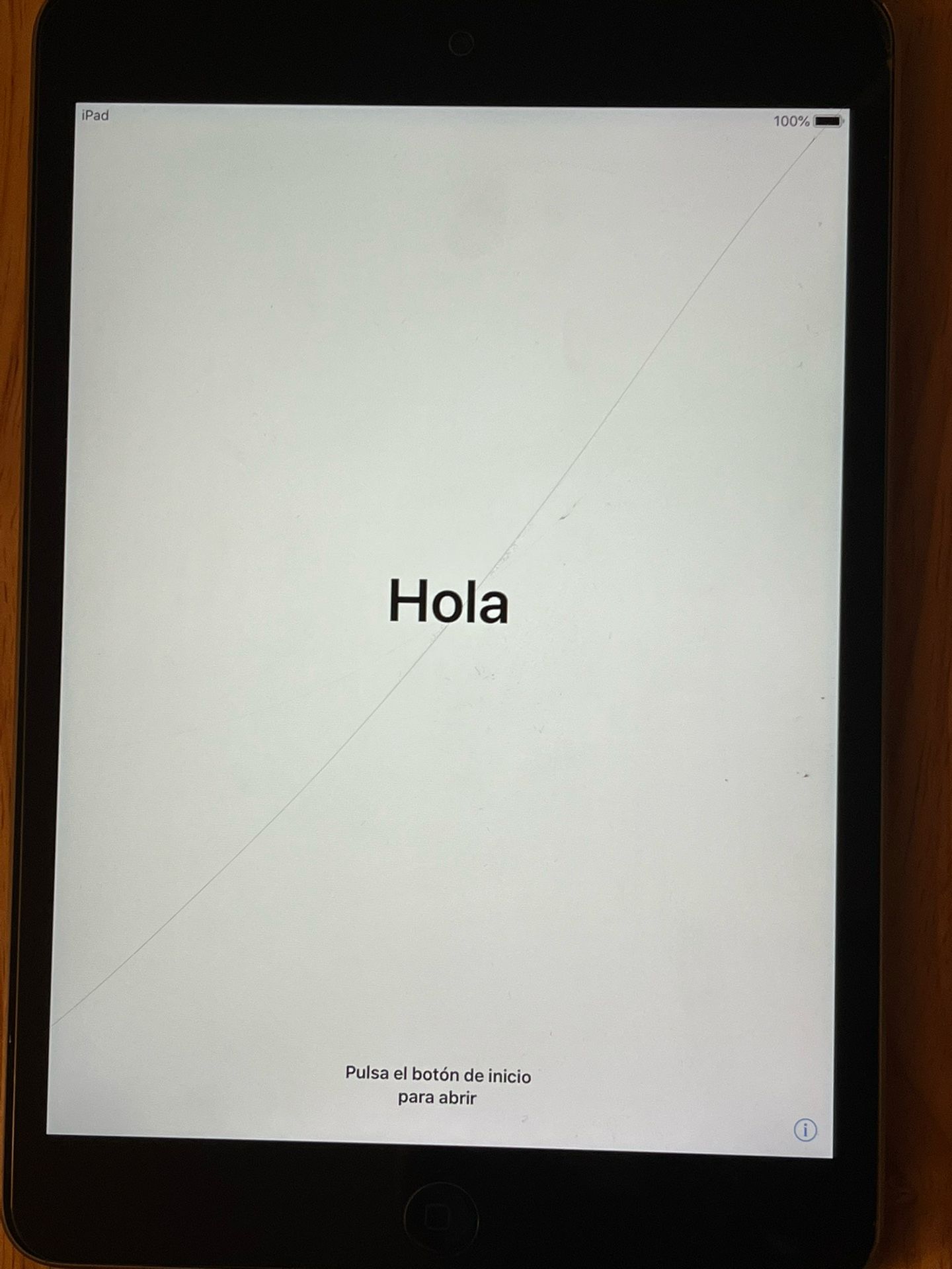 iPad Mini 1st Gen