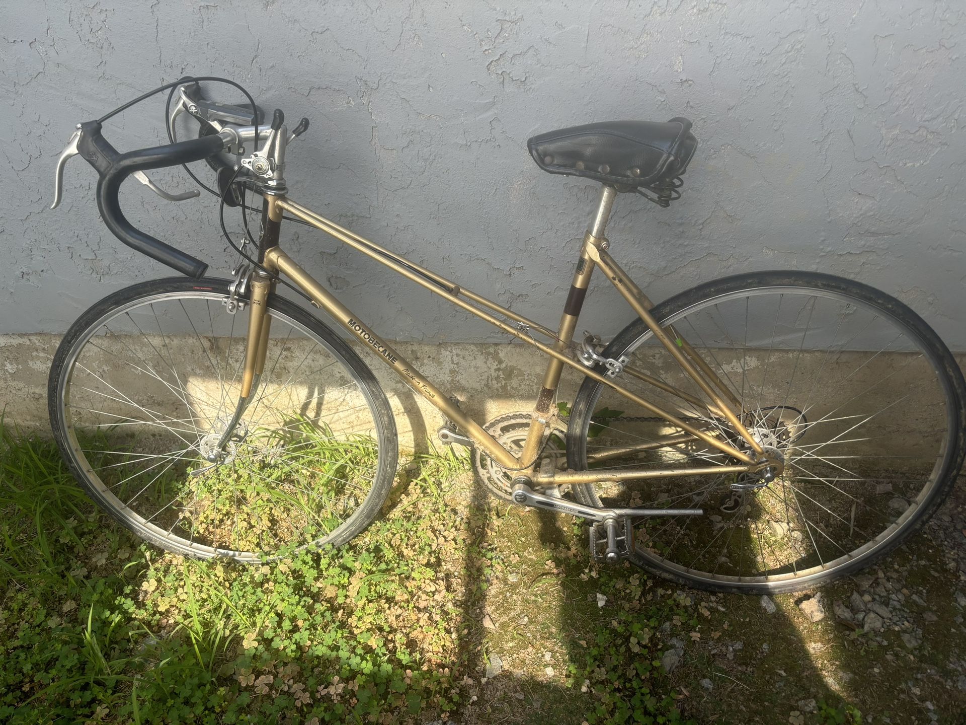Women’s Speed Bike
