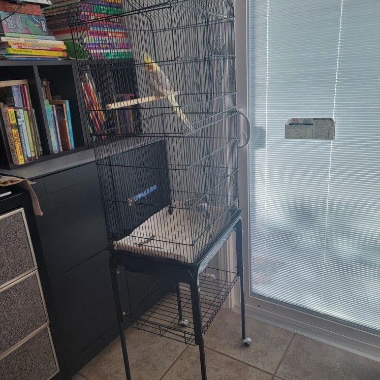 Bird Cage, Clean,  Rolling In Stand