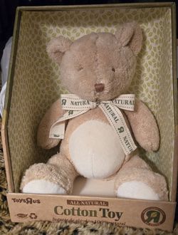 Rare Antique All Natural Teddy Bear