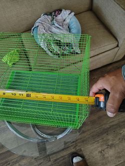 Bird cage