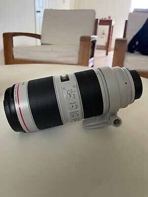 Canon R5 with Canon 70-200mm 2.8 Iii