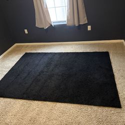 5x7 Area Rug