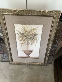 Palm picture