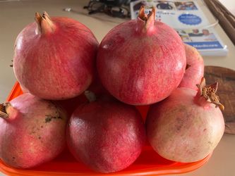 Organic pomegranate