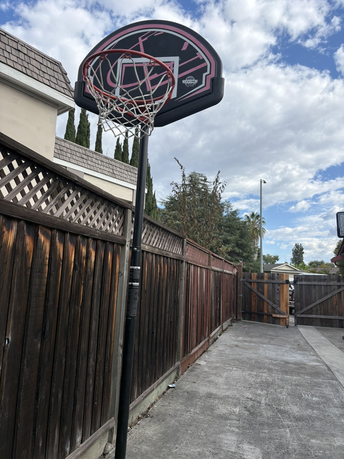 Lifetime Portable Basketball Hoop