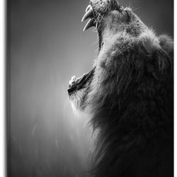 Wildlife Animal Canvas Wall Art – Bold Safari Artwork 20 X 40 IN