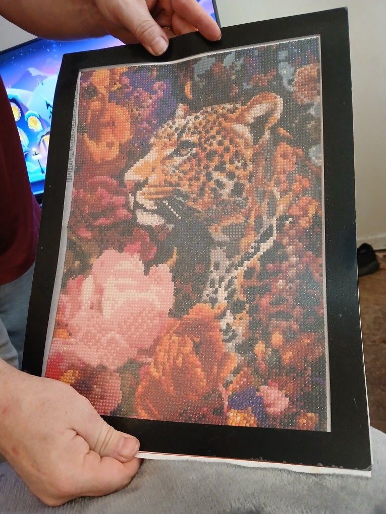 Diamond Paintings I Have Made 25.00 Each Comes With Magnetic Frame Buy One Get 1 Free