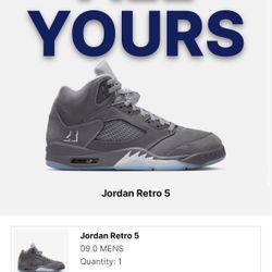 Air Jordan 5 Retro Wolf 🐺 Grey