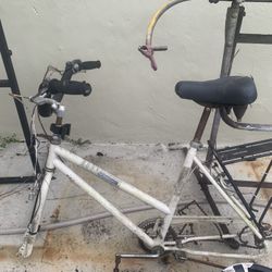 Boss Cruiser Bicycle Frame