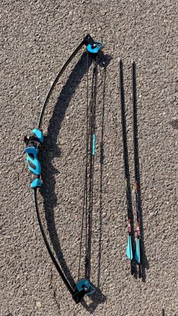 Barnett Wildhawk Youth Compound Bow with 2 Arrows