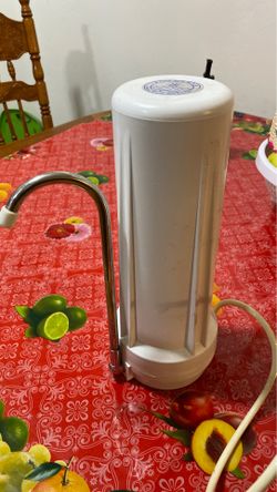 Water filter