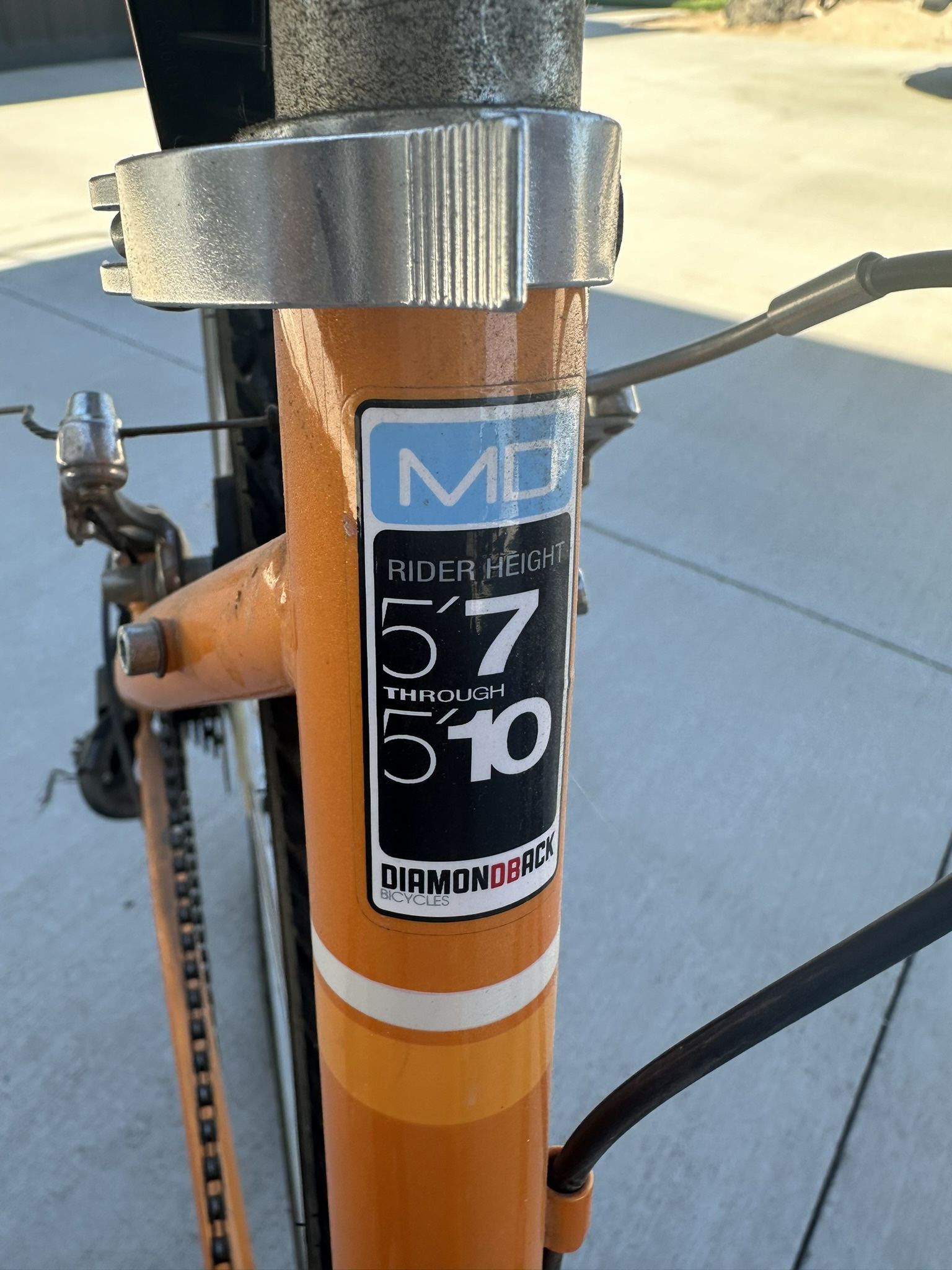 Adult Bicycle