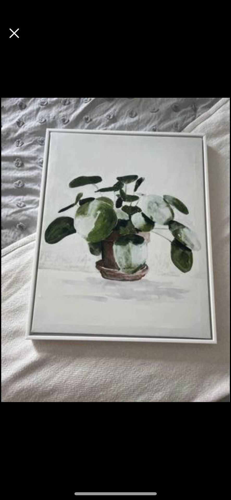 Pair of Decorative Photos
