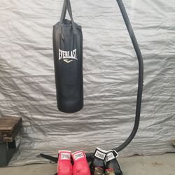 Punching Bag And Gloves