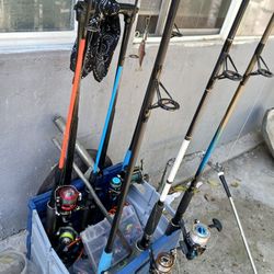 Fishing Pole 