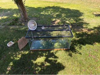 40 gallon fish tank