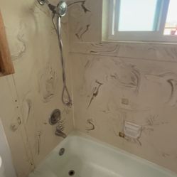 Shower Remodel