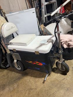 Cruzin Cooler Motorized Electr Scooter Cooler