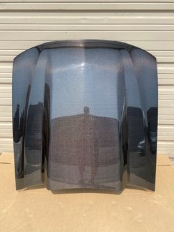 Brand New 99 00 2001 2002 2003 2004 Ford Mustang VIS Racing Cowl Induction Style Carbon Fiber Hood