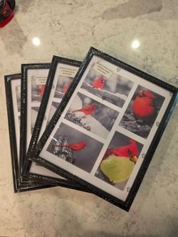 Four picture frames - 12 × 15