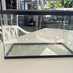 New 10 Gallon Fish Tank