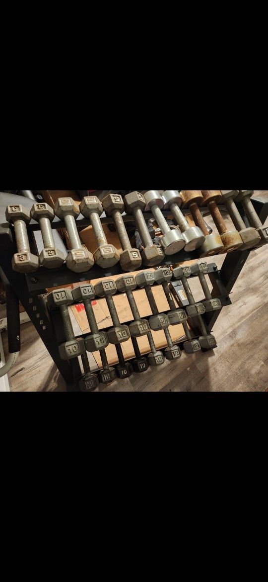 Dumbbells Gym Weights $10 Pair