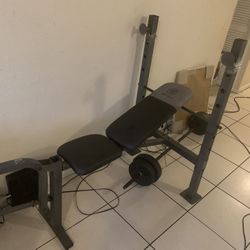 Weight bench With Dumbbell 