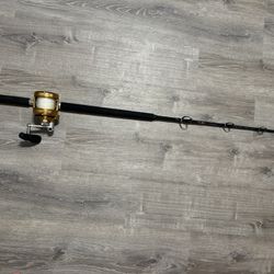 Fishing Reel And Pole