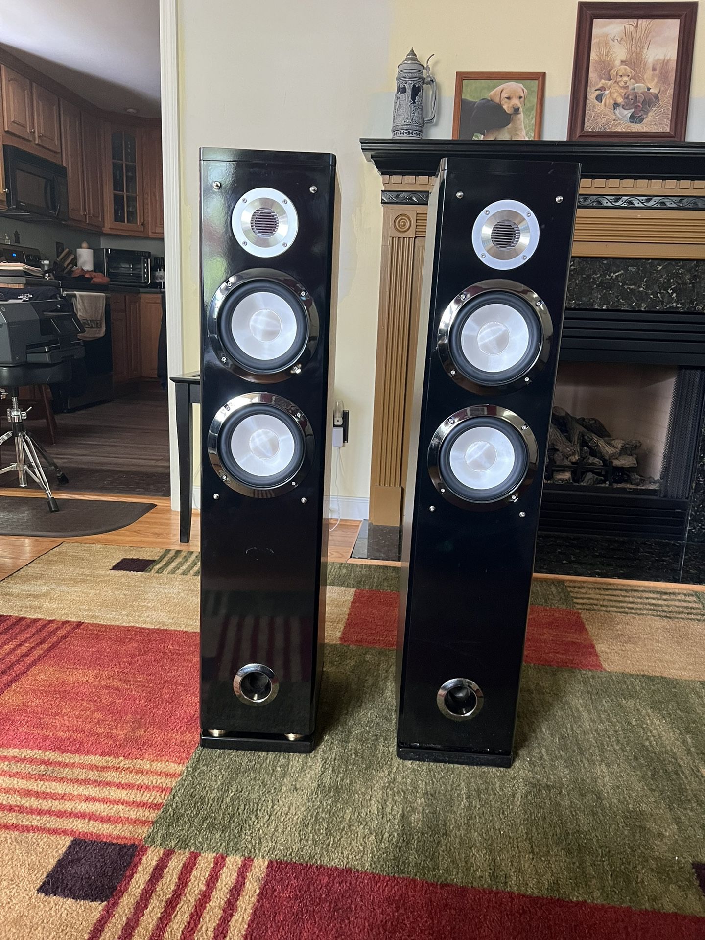 Incredible Pair Of Home Theater Speakers! 