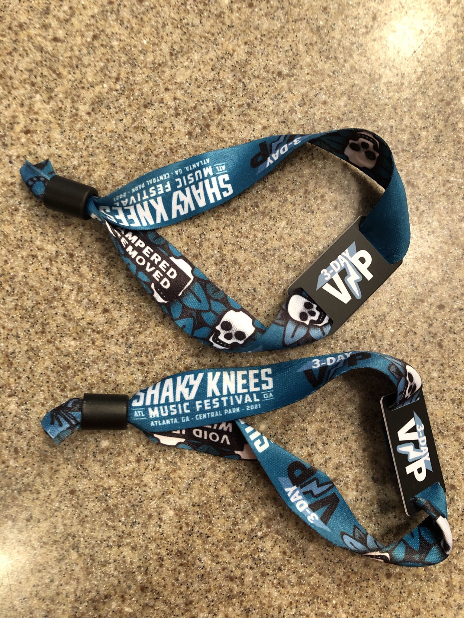 Shaky Knees 2021 - 3 Day VIP (Pair)