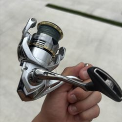 Shimano Sedona 3000