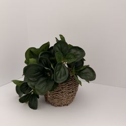 Set of 3 Artificial Greenery Plants in Woven Basket Pots – Home Decor 