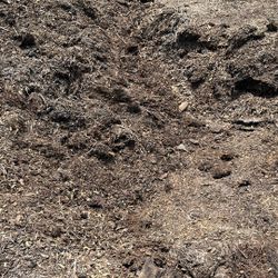 Free Compost Mulch