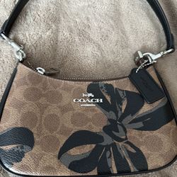 Coach Mini Teri Bag