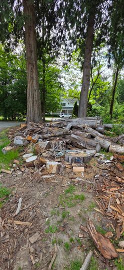 FREE FIREWOOD
