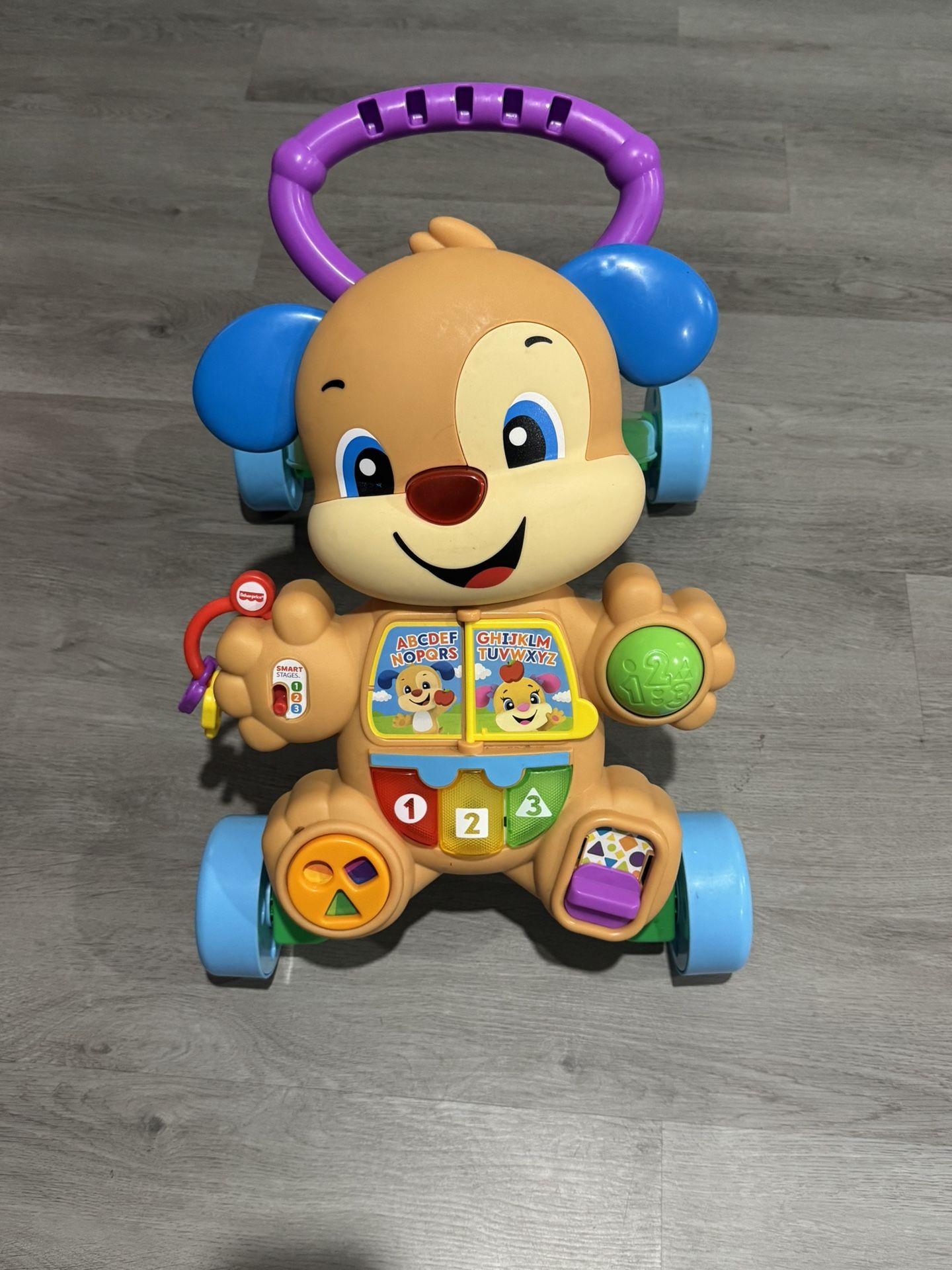 Fisher Price Puppy Walker