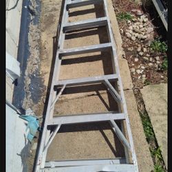 Folding Ladder 