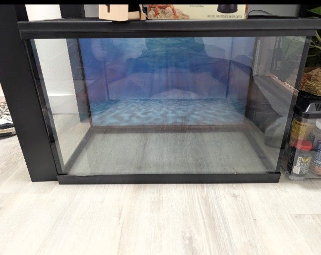 20 Gallon Fish/Reptile Tank