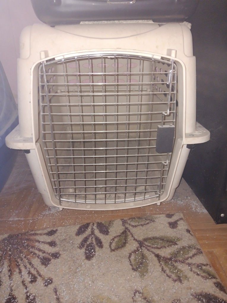 Pet Transport Kennel